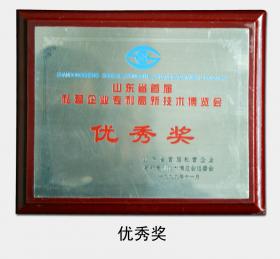1999年被评为“山东省首届私营企业专利高新技术博览会优秀奖”